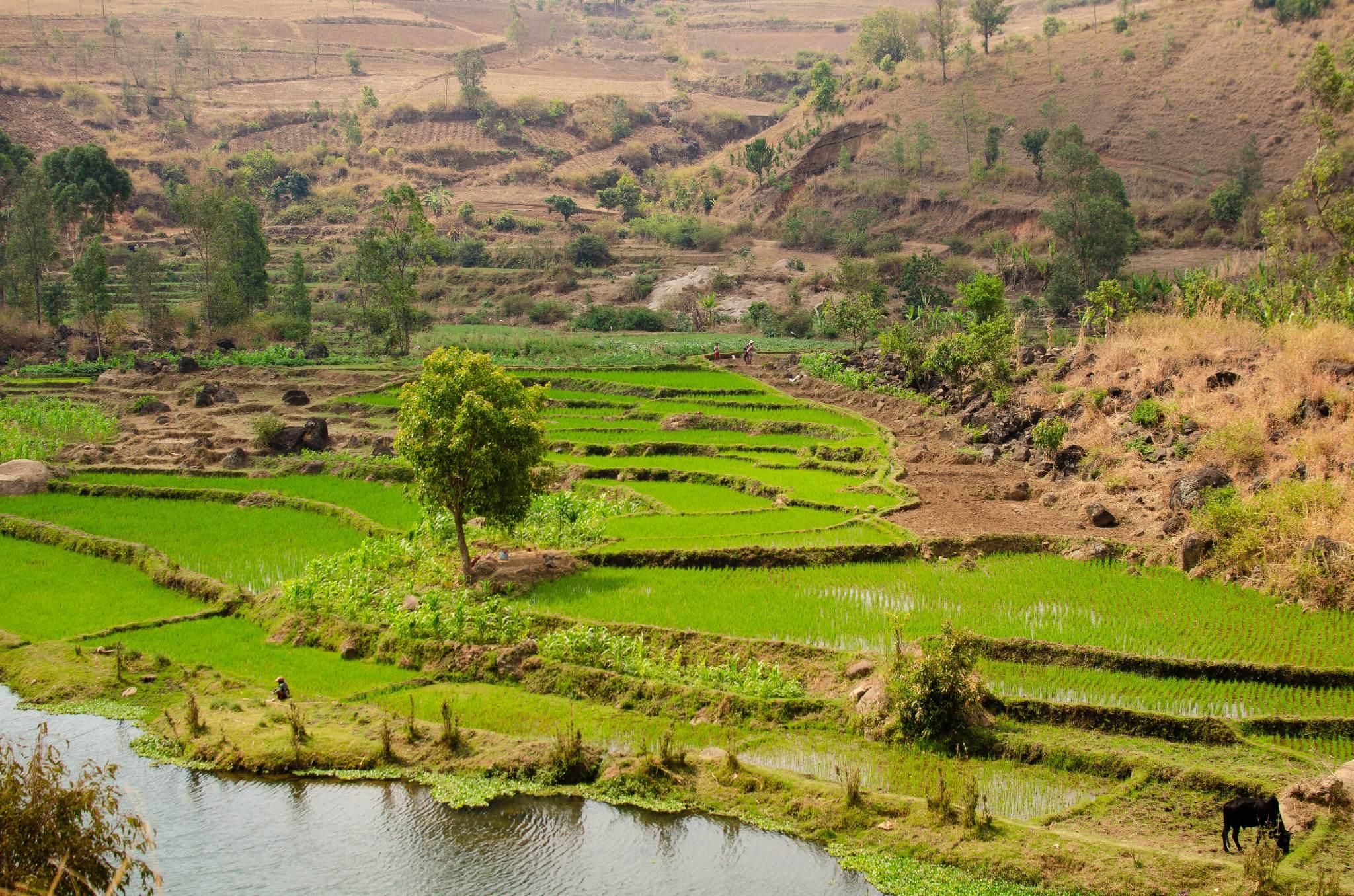 The Great South Of Madagascar, - Vivy Travel